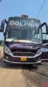 Dolphin tours and travels Bus-Front Image