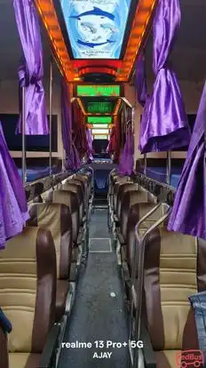 Dolphin tours and travels Bus-Seats layout Image