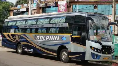 Dolphin tours and travels Bus-Side Image