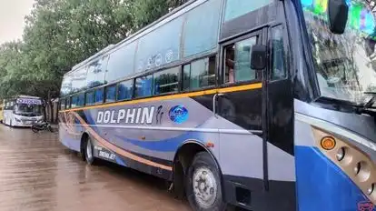 Dolphin tours and travels Bus-Side Image
