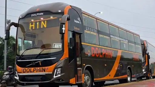 Dolphin tours and travels Bus-Front Image