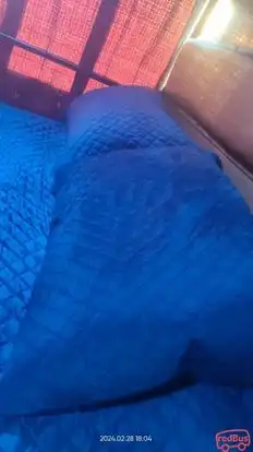 Jain Shiv Shankar Travels Bus-Seats Image