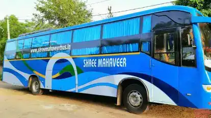 Shree Mahaveer Travels Jaipur Bus-Side Image