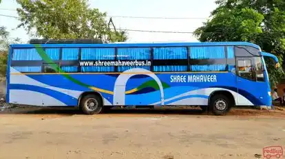 Shree Mahaveer Travels Jaipur Bus-Side Image