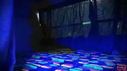 Panwar Travels Bus-Seats Image