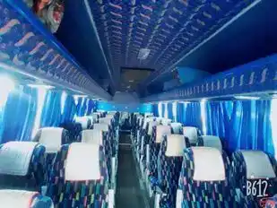 Nafees Travels  Pvt Ltd Bus-Seats layout Image