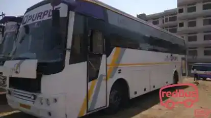 R Fernandes Tours and Travels Bus-Side Image