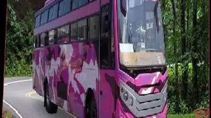 Ashok       Travels Bus-Side Image