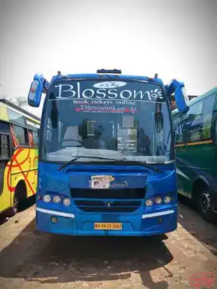 Blossom Travels Bus-Front Image