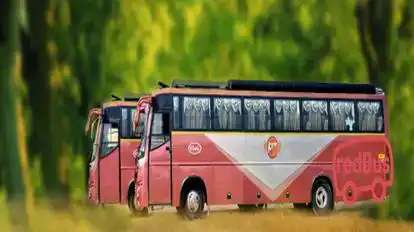 Pari   Travels Bus-Side Image