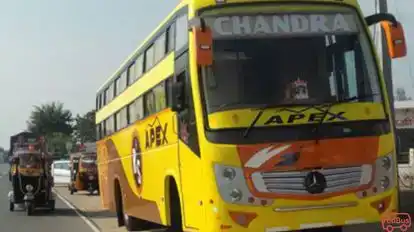 Chandra Travels (Apex Chandra Pvt Ltd) Bus-Front Image