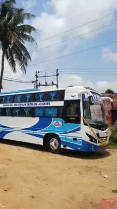 Mayura Bus Bus-Side Image