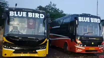 Blue Bird Travels Bus-Front Image
