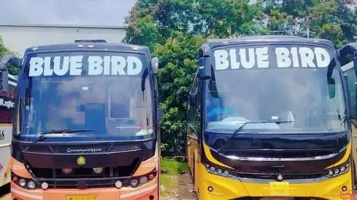 Blue Bird Travels Bus-Front Image
