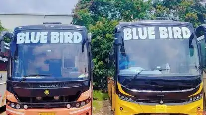 Blue Bird Travels Bus-Front Image