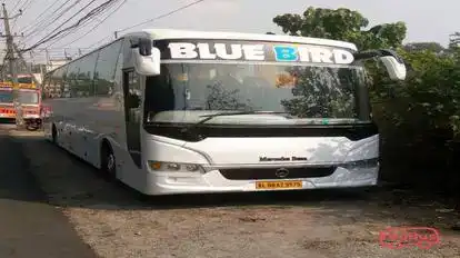 Blue Bird Travels Bus-Seats Image