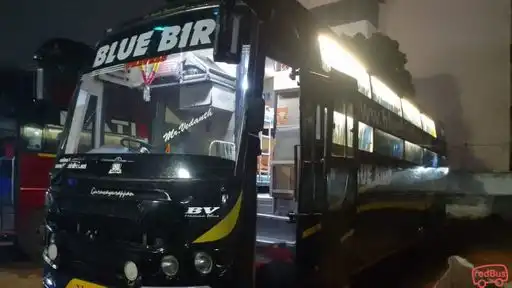 Blue Bird Travels Bus-Front Image