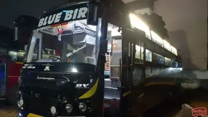 Blue Bird Travels Bus-Front Image