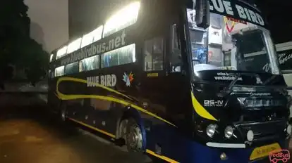 Blue Bird Travels Bus-Side Image