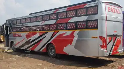 Payal travels Bus-Side Image