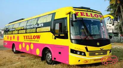Yellow Bus Services Bus-Front Image