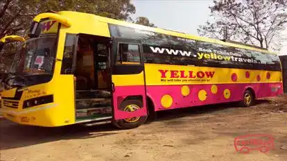 Yellow Bus Services Bus-Front Image