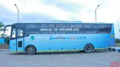 Rajmudra tours and travels Bus-Side Image