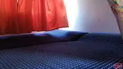 Sree Mallika Travels Bus-Seats Image