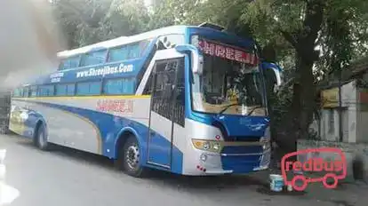 Shreeji Travels Morbi Bus-Side Image
