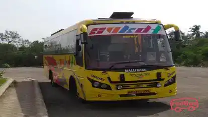 Nani SVKDT Travels Bus-Side Image