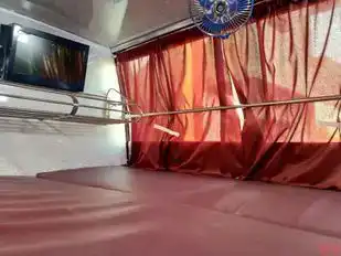 Sree Jothi Travels (SJT) Bus-Seats Image