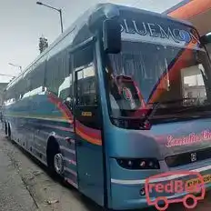 Blue Moon Travels Bus-Side Image
