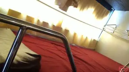 Shri Sai Travels Shirdi Bus-Seats Image