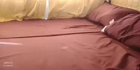 Rajeswari Travels Bus-Seats Image