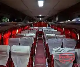 Sharma Travel Bus-Seats Image