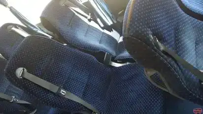 MN Travels Bus-Seats Image