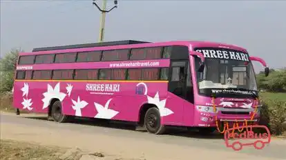 Shree Hari Travels Bus-Side Image