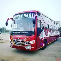 Shree Hari Travels Bus-Front Image