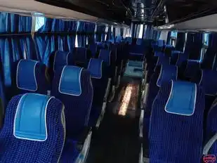 Pallavi Madhya Pradesh Parivahan Travels Bus-Seats Image