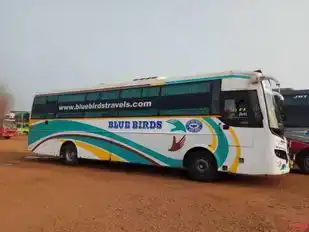 Blue Birds Travels Bus-Front Image