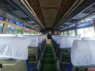 NRT (New Roshan Travels) Bus-Seats Image