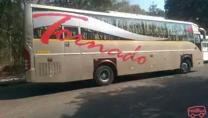 Stallion Roadways Pvt Ltd Bus-Seats Image