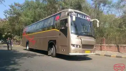 Stallion Roadways Pvt Ltd Bus-Seats Image