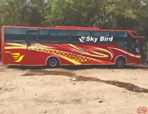 Aeroline Travel Bus-Front Image