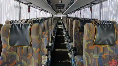 Chartered Bus Bus-Seats layout Image