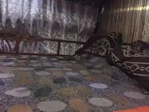 Ap Tours and Travels Bus-Seats Image