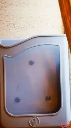 AVK Travels Bus-Amenities Image