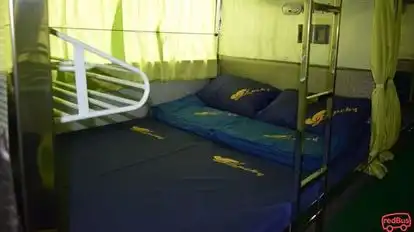 NEW LUCKY TRAVELS Bus-Seats Image