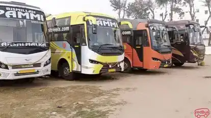 Pammi Travels Bus-Front Image