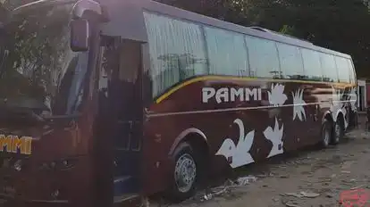 Pammi Travels Bus-Side Image